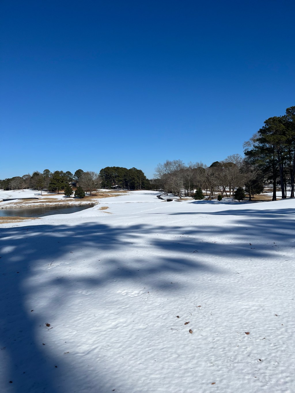 Snow in Auburn-Opelika: A Rare Winter&nbsp;Treat